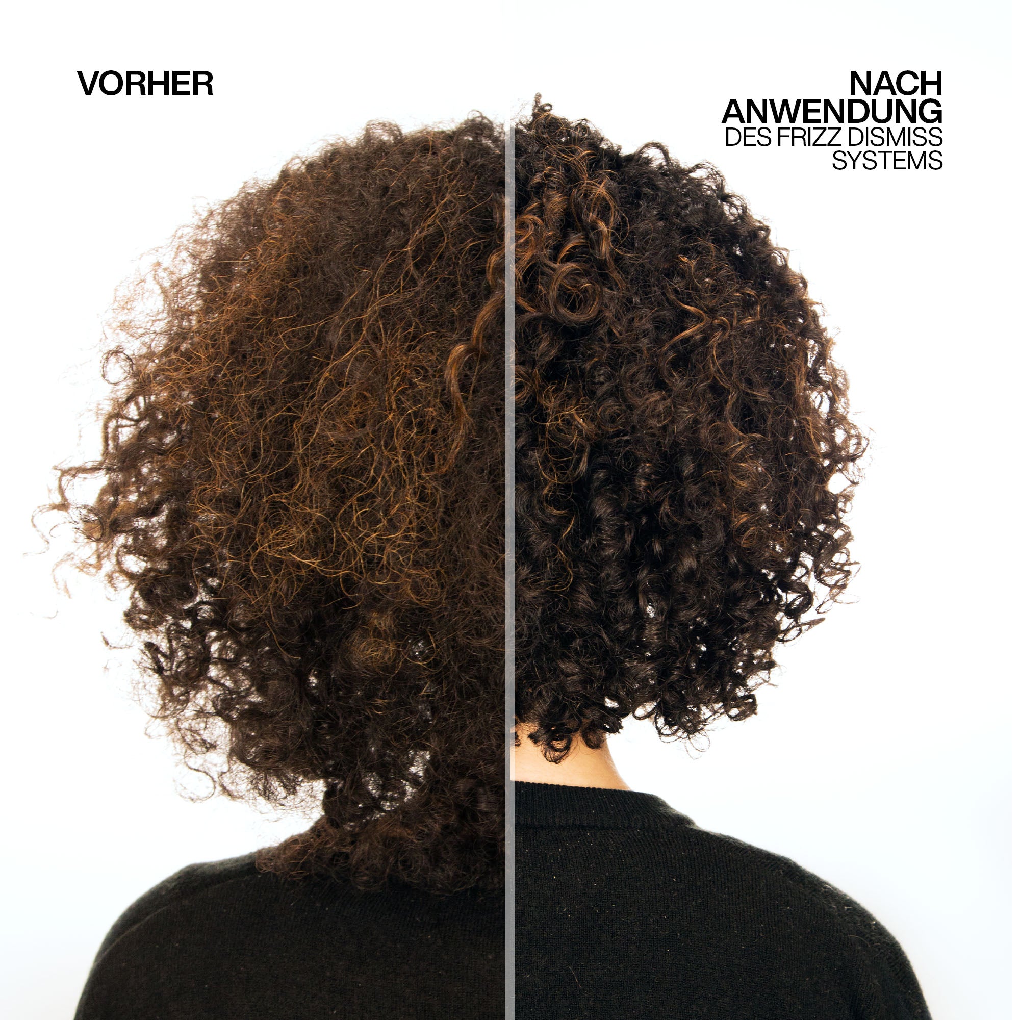 REDKEN FRIZZ DISMISS REBEL TAME 250 ML